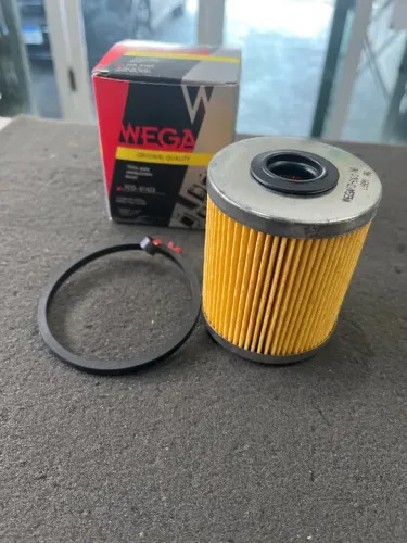 Filtro de combustível Diesel Master 04/24. 