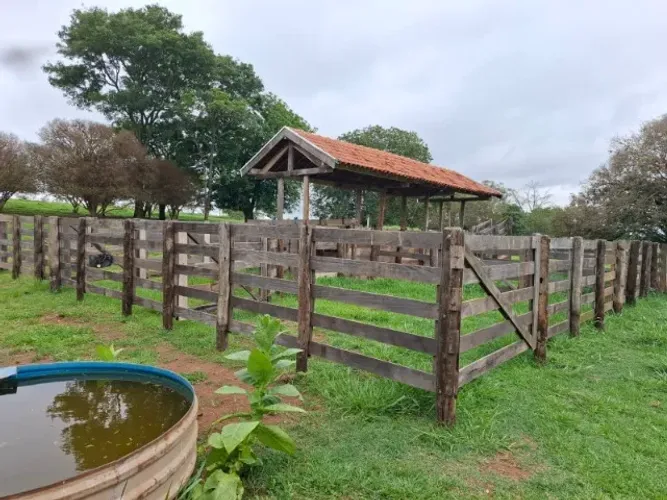 CEDRAL (SP) Sítio com 6 alqueires