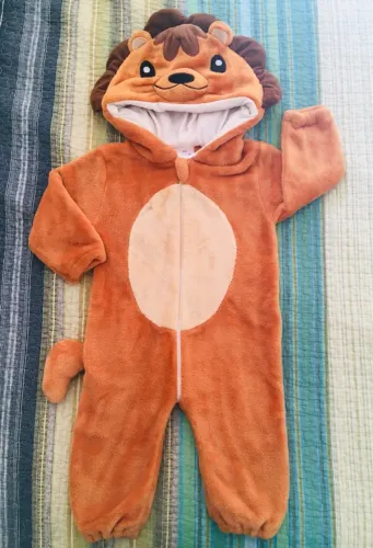 Fantasia de Leão T. 1 Ano