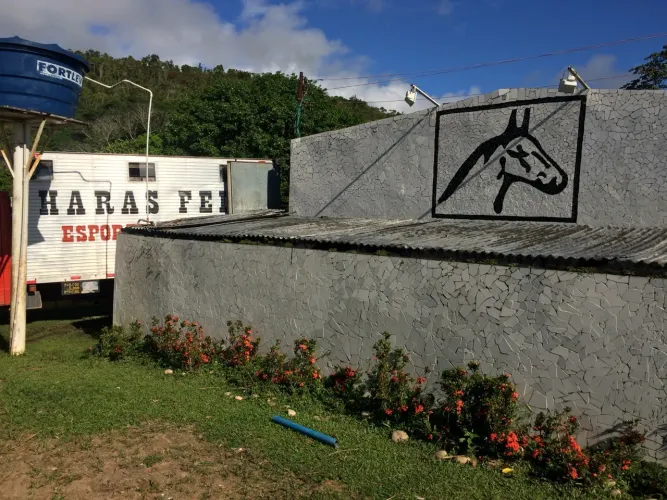 CAVALOS ALUGAMOS BAIA FAZEMOS DOMA RACIONAL