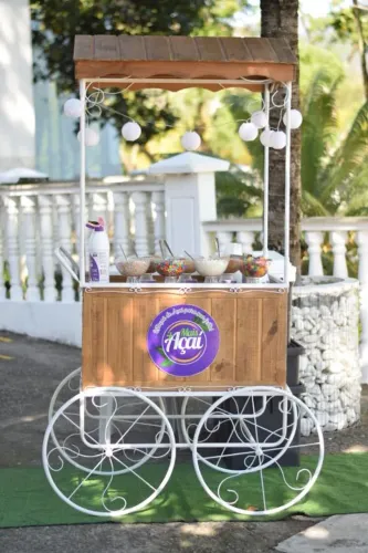 Estacao de acai para sua festa e eventos