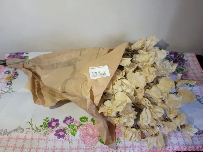 Conjunto de flores naturais desidratadas