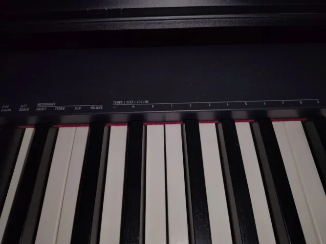 Piano elétrico, Casio com 88 teclas