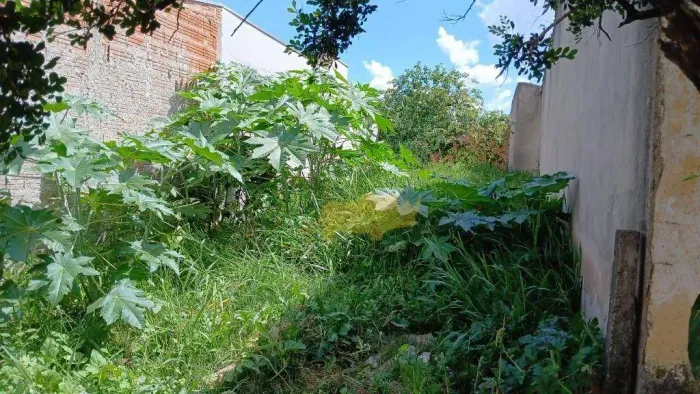 Terreno à venda, 125 m² por - Novo Jardim Wenzel - Rio Claro/SP