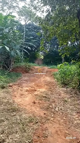 Chácara | Sítio - Curso D'água - 5.000 m² - TO-010