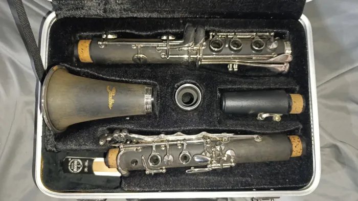 Promoção relâmpago Clarinete Shelter 350,00