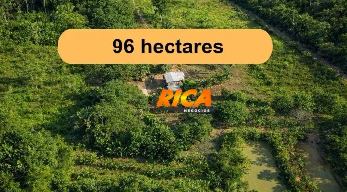 Fazenda à venda, com 96 hectares no município de Canutama/AM