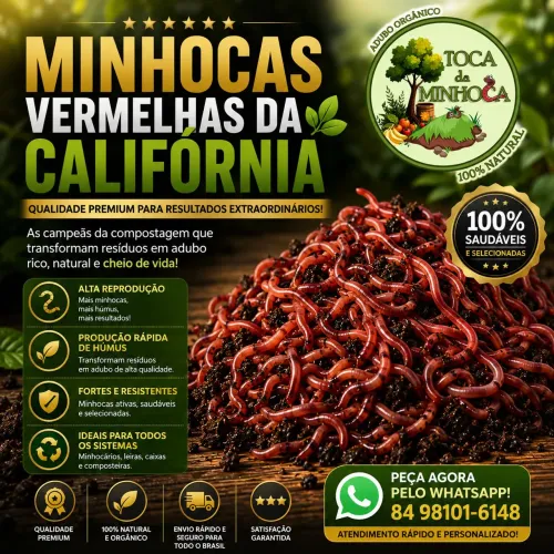 Minhocas Vermelhas da Califórnia Para Produção de Húmus