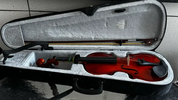 Violino
