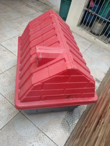 Casa pets