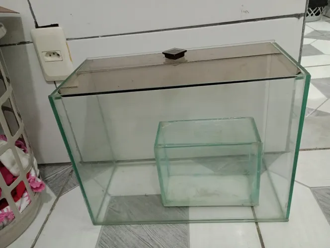 Aquário