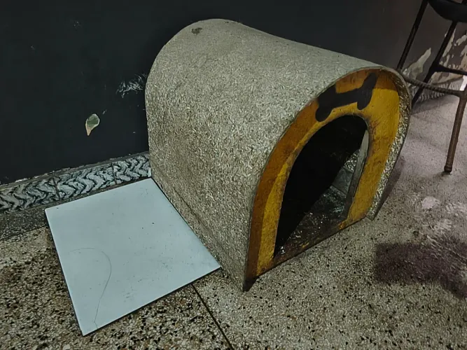 Casinha de cachorro N.3