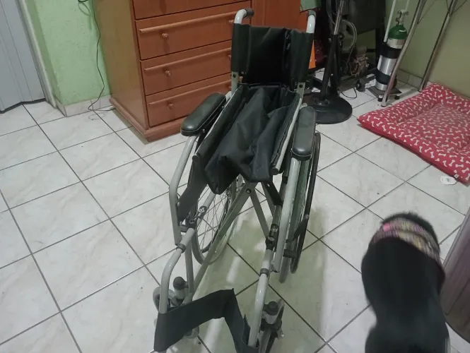 Cadeira de Rodas
