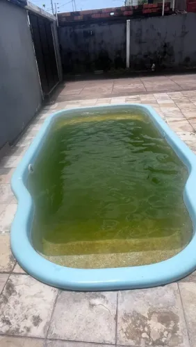 Piscinero