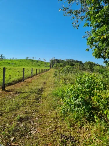 Chácara em Ariquemes / RO 