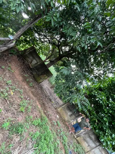 Lote à Venda em Cachambu (Pirinópolis) - Excelente Oportunidade