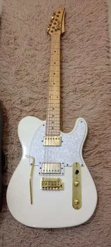 Vendo Guitarra marca Seize dourada. Completa e com Bag bolsa incluso. Valor R$ 1.900