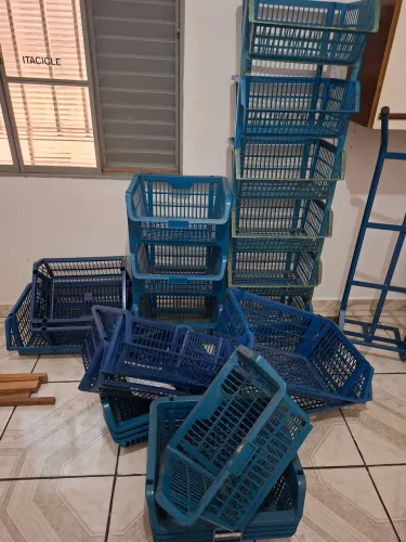 Cestas