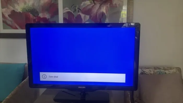Televisão
