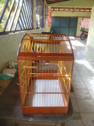 Gaiola G curió