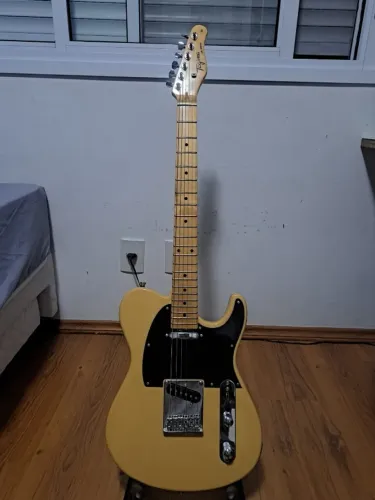 Guitarra Tagima TW55