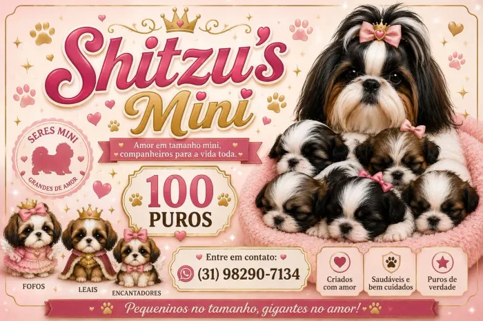 Vende-se shitzu