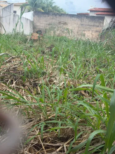 LOTE INTEIRO ST.JAÓ codigo: 272584