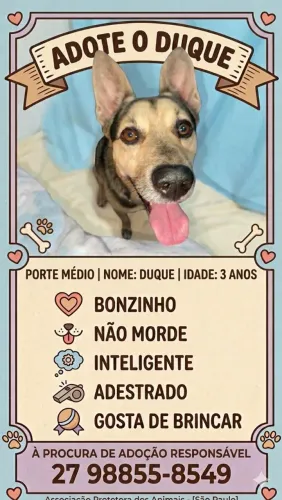 Adoção responsável 
