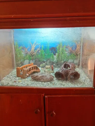 Vendo Aquário com Movel