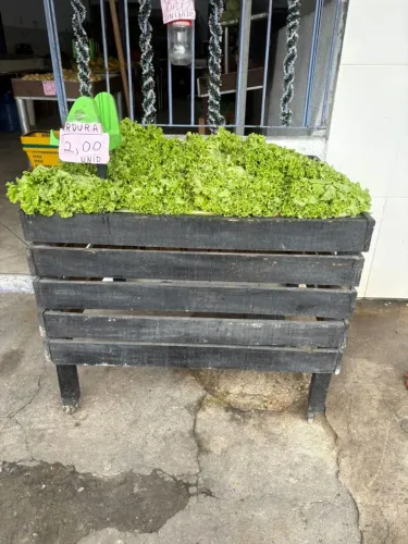 Bancada para hortifruti 200
