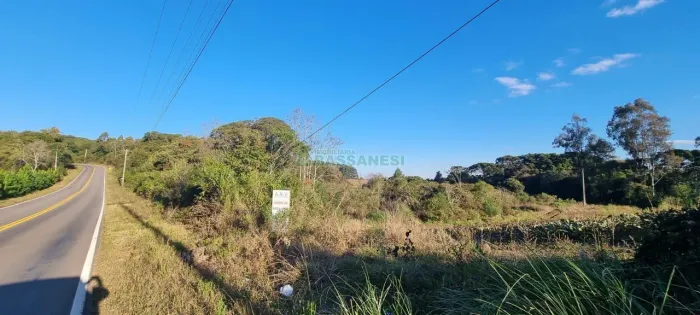 Terreno Fazenda Souza Caxias do Sul