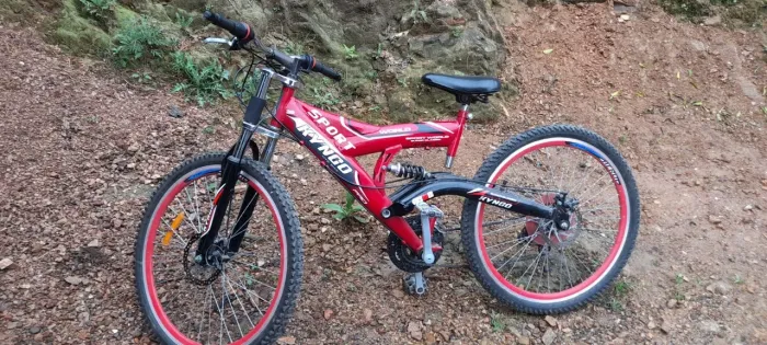 Bicicleta 