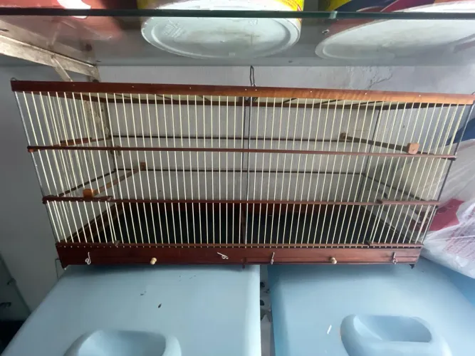 Gaiola