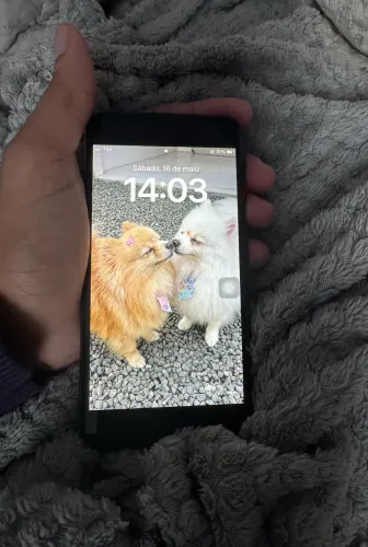 iPhone 8 Plus