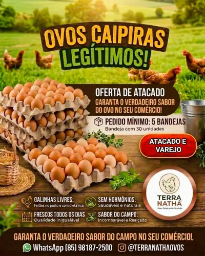 Ovos Caipiras Legítimos da Terra Natha!