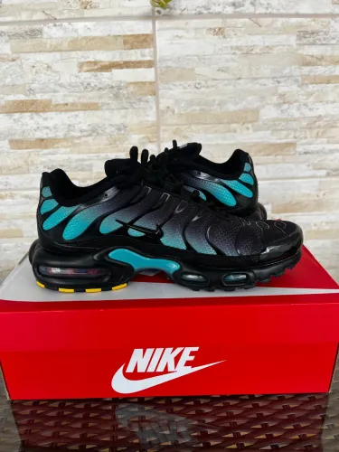 Nike Air Max Plus - Black Dusty Cactus