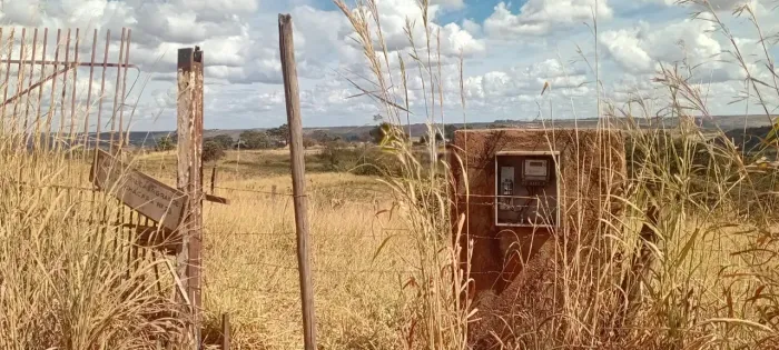 A venda chacara  Ponte Alta Norte - Brasília - DF