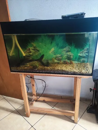 Aquario 200L com luminaria
