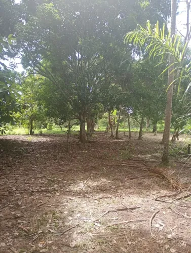 Vendo ou troco chácara em Campinas em casa em Rio Branco