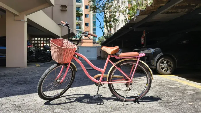 Bicicleta Retrô Feminina