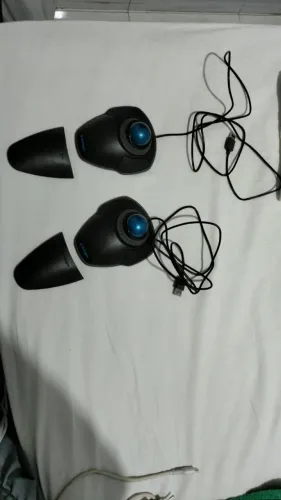 mouse
