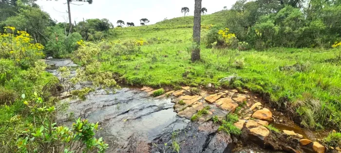 Sitio 50.000 m² com rio e muitas araucárias- São Joaquim/SC.