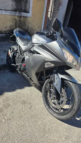 Ninja 300 2014