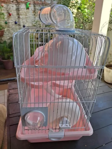 Gaiola para hamster