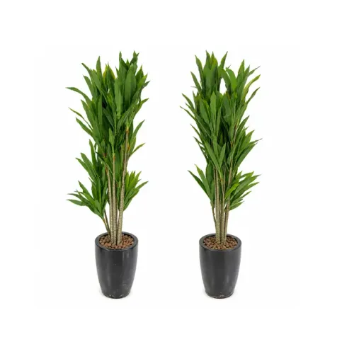 Kit 2x Plantas Artificiais Realistas com Argila Expandida e Vasos Preto - R$ 5.000