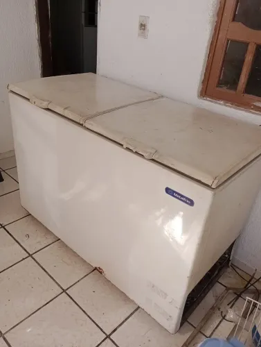 Freezer horizontal