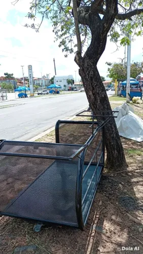 Vendo este carrinho