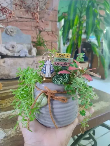 Mini Jardim com plantas espetaculares 