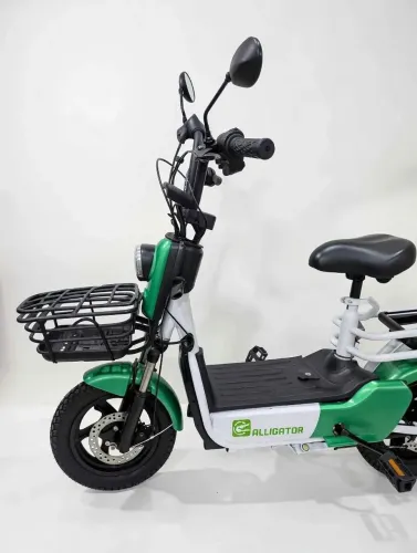 Bicicleta elétrica