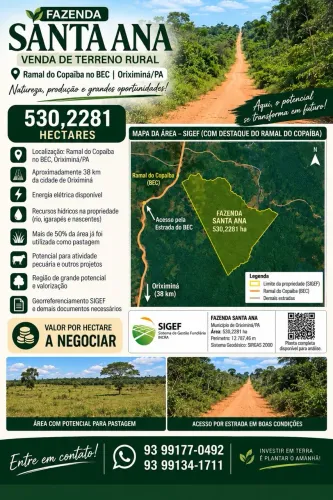 Fazenda à Venda em Oriximiná-PA | Área Rural com Excelente Potencial
